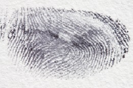 Fingerabdrücke werden von Detektiv untersucht.